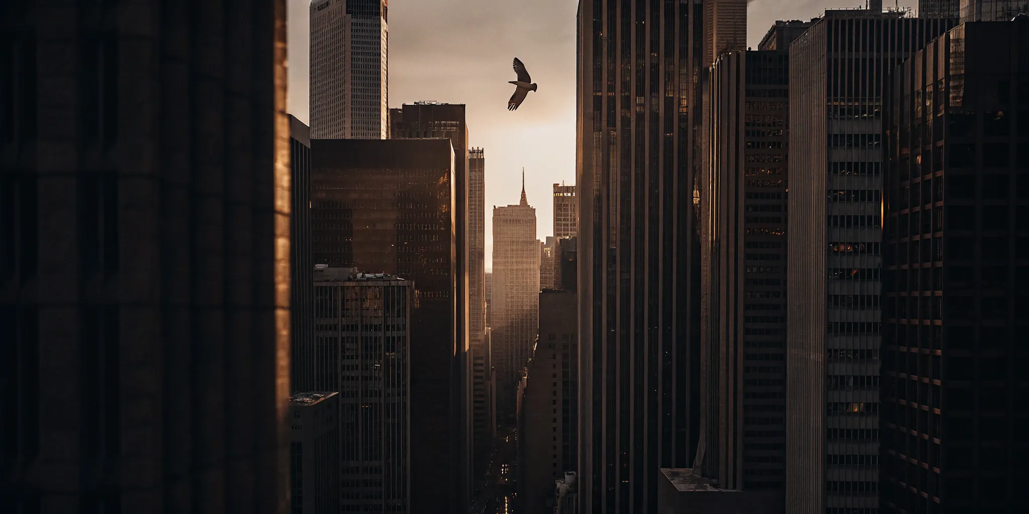Wells Fargo Soaring 46.3% YTD: What’s the Story?